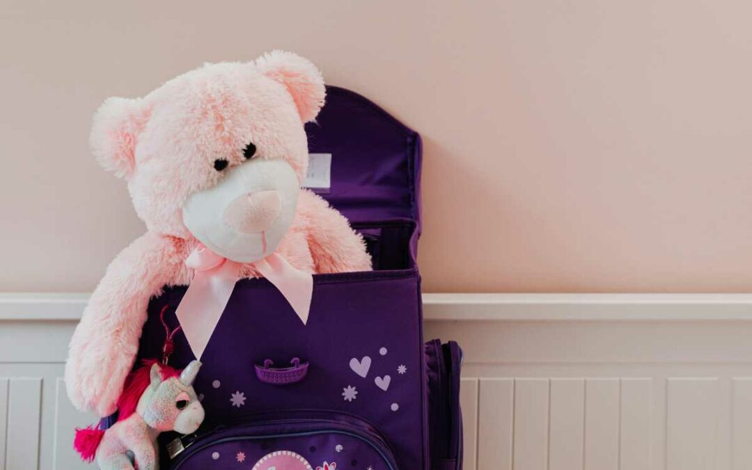 Protéger les enfants, casier judiciaire, FIJAIS :quelle vigilance des maires ?