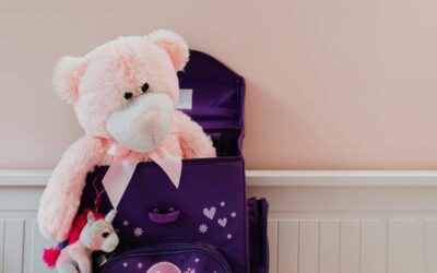 Protéger les enfants, casier judiciaire, FIJAIS :quelle vigilance des maires ?